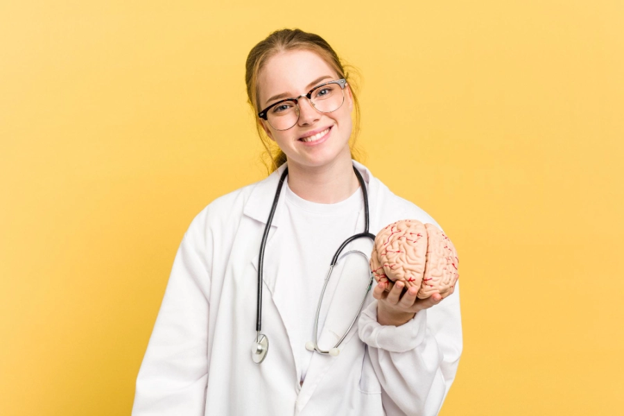 доктор и макет мозга