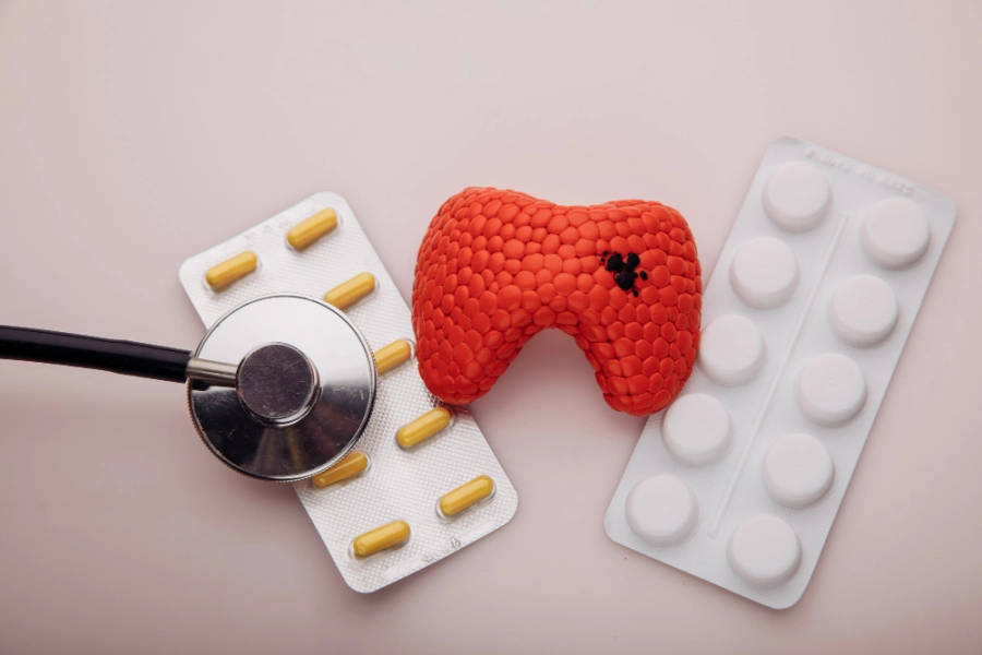 макет щитовидной железы и бады