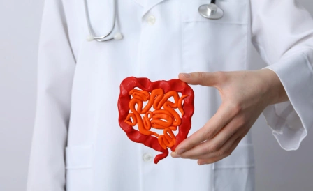 врач держит макет кишечника