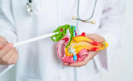 доктор указывает на макет желчного пузыря