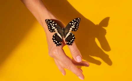 бабочка на руке