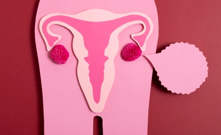 фото строения мочеполовой системы женщины