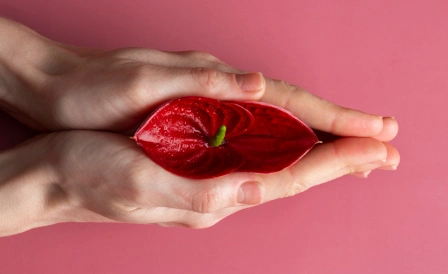 выделения из половых путей