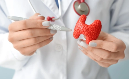 доктор держит макет щитовидной железы