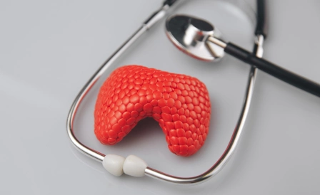 фото макета щитовидной железы