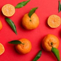 фото мандаринов