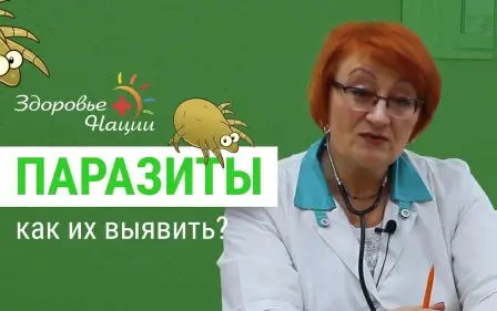 18 признаков наличия паразитов в организме